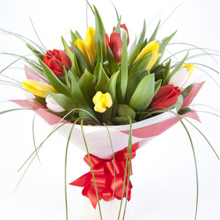 mieszanka tulipanów 