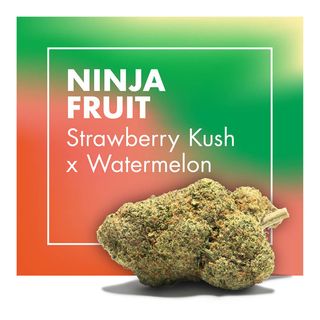 Ninja Fruit (Strawberry Kush X Watermelon) 10Gr. 23% CBD