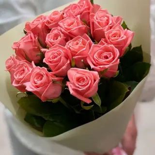 20roses rose