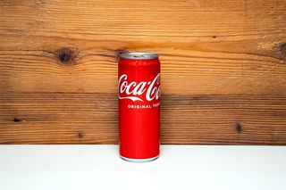 Coca-Cola Lattina 330 ml