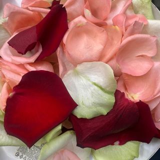 Пелюстки троянд (МІКС) 2 л