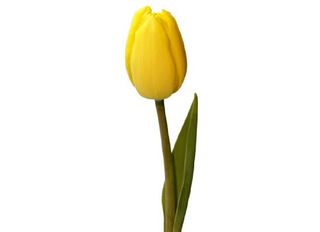 Жълто Лале 1 Бр