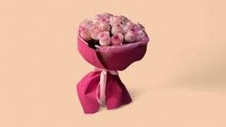 25 ჰოლანდიური ვარდი