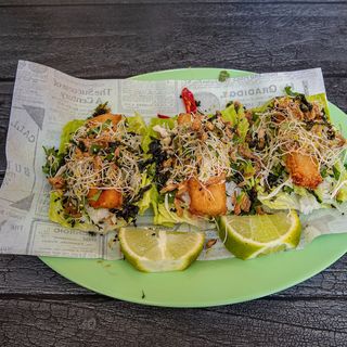 Wrap ensalada coreana Tofu (3 Uds) (Vegano)