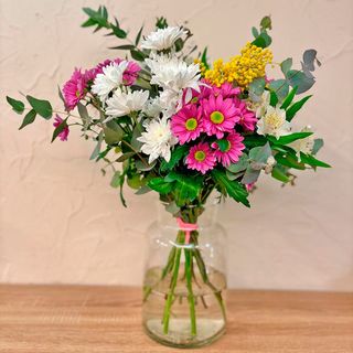 Margaritas de colores variados