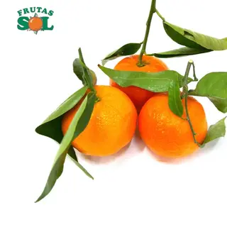 Mandarina Hoja (1 Kg. Aprox)