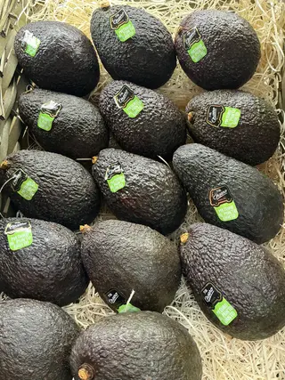 Avocado 1 pezzo