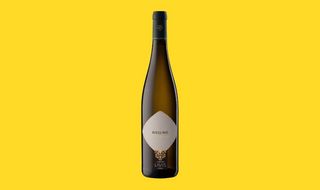 LA VIS - Riesling - Trentino Alto Adige D.O.C