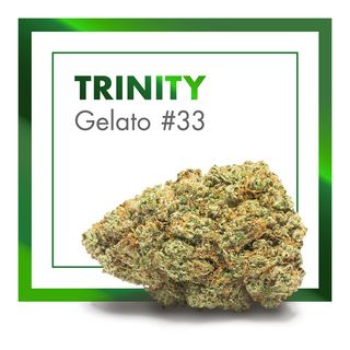 Trinity (Gelato #33) 10Gr. 25% CBD