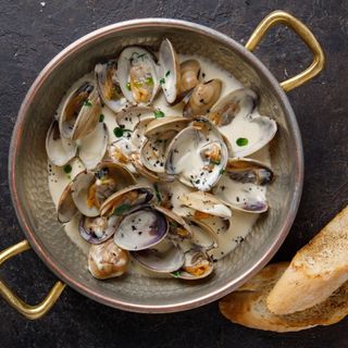 მოლუსკი ვონგოლე