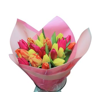 20 tulipanes de colores
