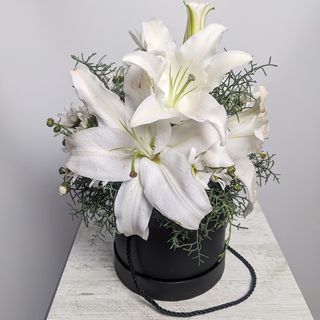 ლილი ყუთში 1153