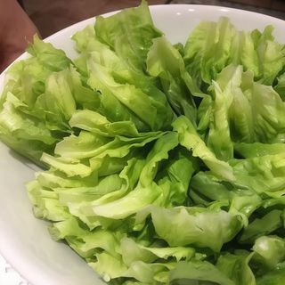 lechuga