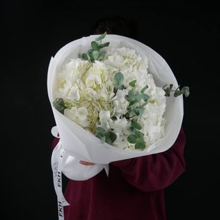 Гортензія 3 шт