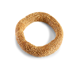Koyloyri