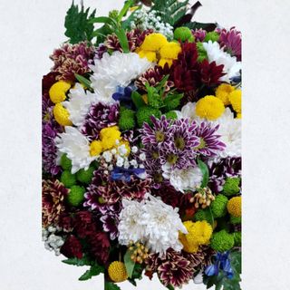 Buchet Mixt de 25 Crizanteme