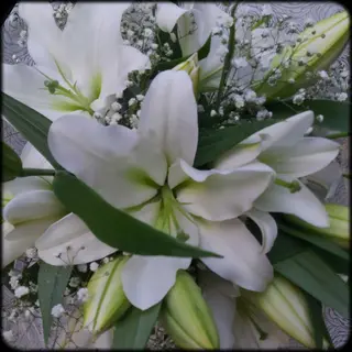 Ramo de lilium