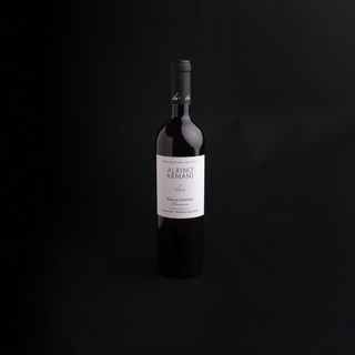 Sauvignon cantina albino Armani 12,5%Vol