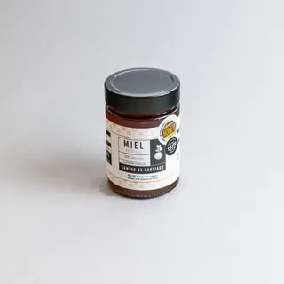 Miel de bosque 480gr