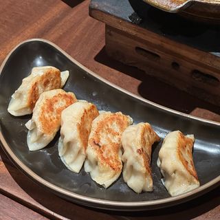 Chicken Dumplings