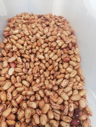 Grah šareni 1kg