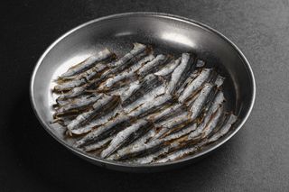 ФІЛЕ АНЧОУСА