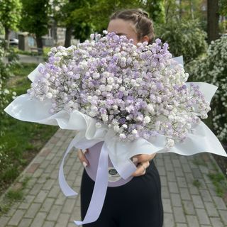 Композиція 1