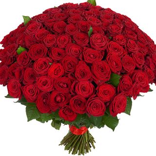 151 червона троянда