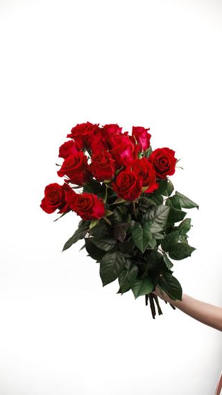 Róże ekwadorskie czerwone 15 szt. długie 75 cm