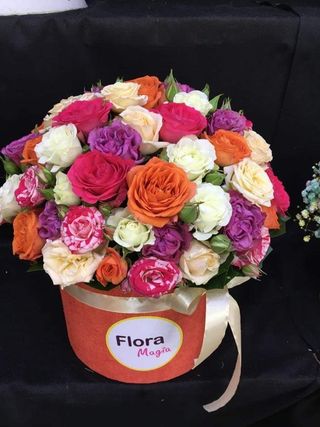 ჰოლანდიური ჯუჯა ვარდები