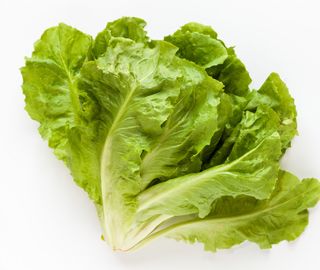 Scarola liscia pulita 1kg