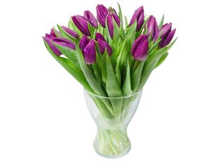 Лилави лалета 15 бр