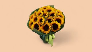 20 ცალი დიდი მზესუმზირების თაიგული