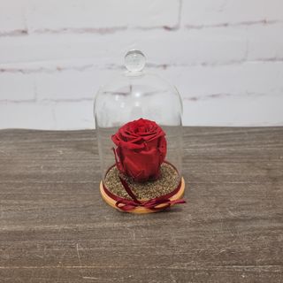Вечна роза - червен цвят със сребърна декорация съд с топка