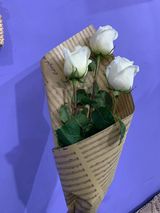 თეთრი ჰოლანდიური ვარდი, 3ც