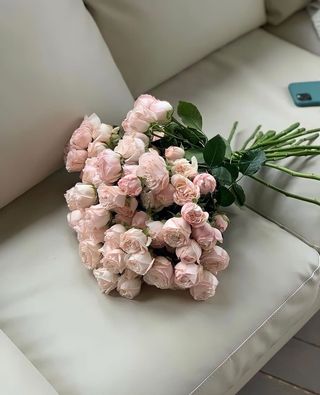 ვარდისფერი ვარდები #3