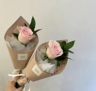 Rosa Rosa (1 Ud.)