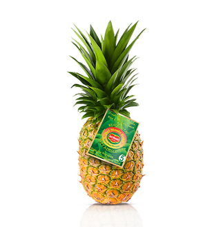 Piñas Monte Peso Estimado  2,5 KGr.