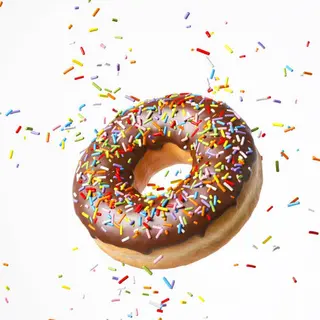 Chocolate Sprinkled Donut