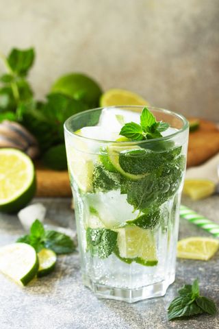 Virgin Mojito