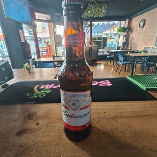 Cerveza Budweiser