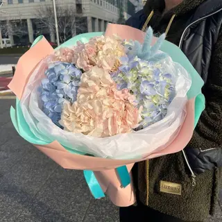 Mix hortensji 