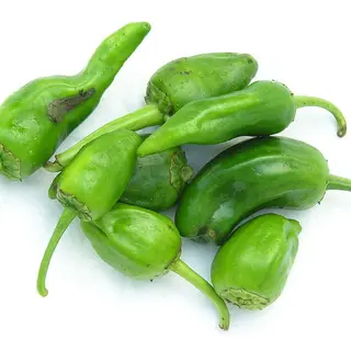 Pimientos de padron 