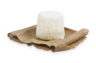 Ricotta salata al kg