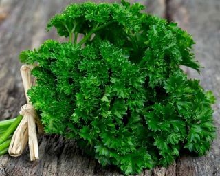 Петрушка (15г)