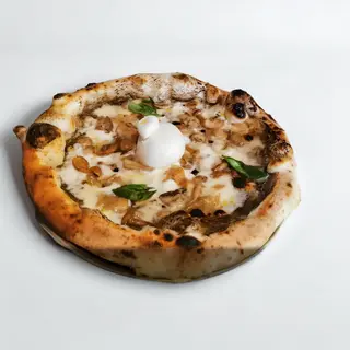 Fungarola