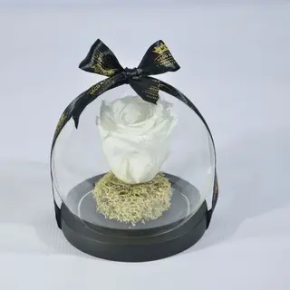 Eternelle Blanc