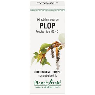 Extract din muguri de plop (POPULUS NIGRA)
