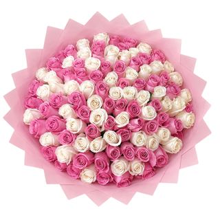 Soft  Charm Roses