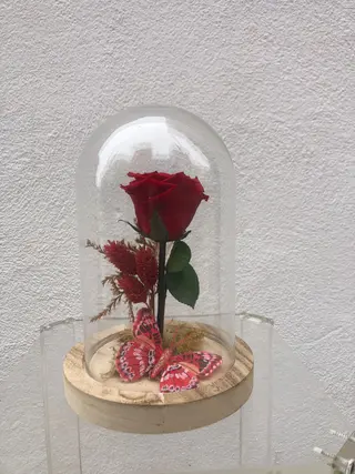 Cupula Rosa Eterna Roja